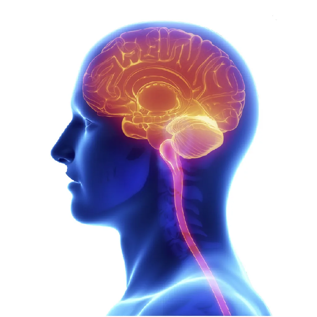Neuro hospital in Patna for severe headache fits numbness and spine pain
